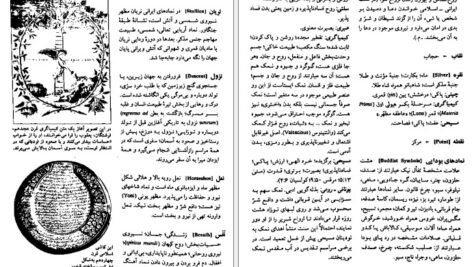 دانلود کتاب فرهنگ مصور نمادهای سنتی جی سی کوپر PDF