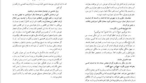 دانلود کتاب مردی در تبعید ابدی نادر ابراهیمی PDF