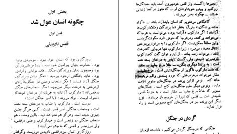دانلود کتاب چگونه انسان غول شد آذر آریان پور PDF