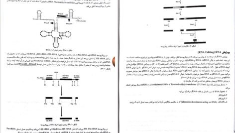 دانلود کتاب ژنتیک از کلاسیک تا ژنومیک دکتر اکرمی PDF