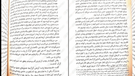 دانلود کتاب گرگ های پوشالی لارن ولک PDF