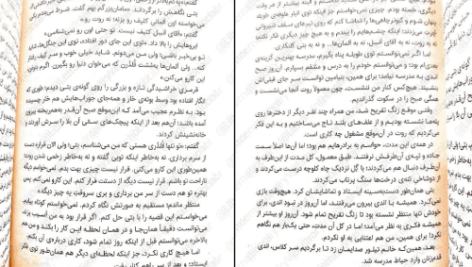 دانلود کتاب گرگ های پوشالی لارن ولک PDF