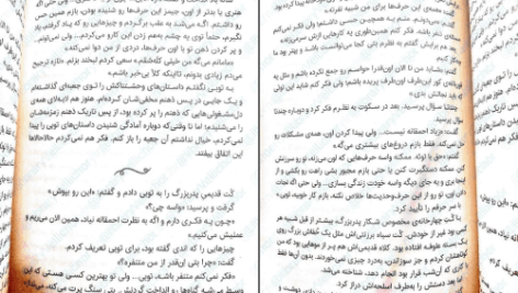 دانلود کتاب گرگ های پوشالی لارن ولک PDF