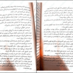 دانلود کتاب گرگ های پوشالی لارن ولک PDF