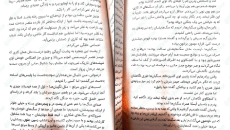 دانلود کتاب گرگ های پوشالی لارن ولک PDF