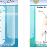 دانلود جزوه فیزیولوژی انسانی دکترمحمد رضا اسد PDF