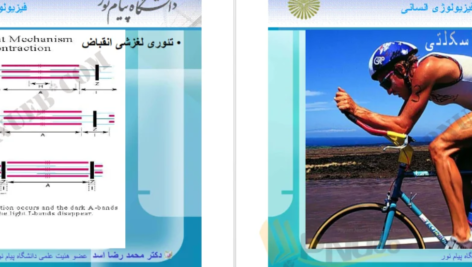 دانلود جزوه فیزیولوژی انسانی دکترمحمد رضا اسد PDF