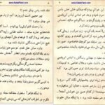 دانلود کتاب عشق آتشین عزیز نسین PDF