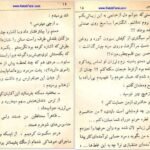 دانلود کتاب عشق آتشین عزیز نسین PDF