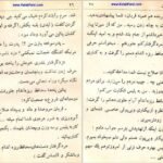 دانلود کتاب عشق آتشین عزیز نسین PDF