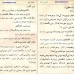 دانلود کتاب عشق آتشین عزیز نسین PDF