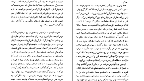 دانلود کتاب کفچه ماهی جلد دوم عبدالرحمن صدریه PDF
