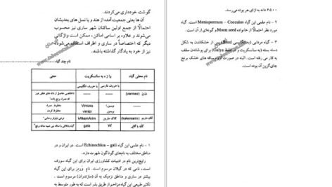 دانلود کتاب ساری و آغاز تمدن برنج درویش علی کولائیان PDF