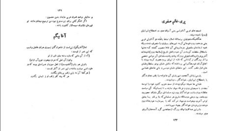 دانلود کتاب شوخی علماء و شمه ای از سرگذشت بانوان هنرمند رحیم زاده صفوی PDF