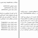 دانلود کتاب فرهنگ خاص علوم سیاسی حسن علیزاده PDF