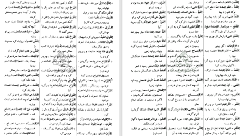 دانلود کتاب فرهنگ دانشگاهی المنجد الابجدی PDF