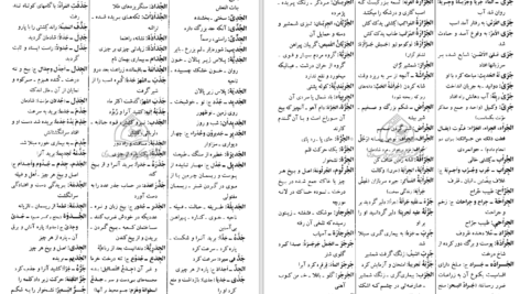 دانلود کتاب فرهنگ دانشگاهی المنجد الابجدی PDF
