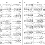 دانلود کتاب فرهنگ دانشگاهی المنجد الابجدی PDF