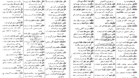 دانلود کتاب فرهنگ دانشگاهی المنجد الابجدی PDF