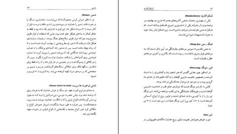 دانلود کتاب فرهنگ غرایب جلد ۲ سودابه فضایلی PDF