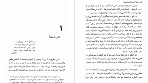 دانلود کتاب کارنامه ادبی ایران فواد فاروقی PDF