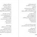 دانلود کتاب کفچه ماهی جلد اول عبدالرحمن صدریه PDF