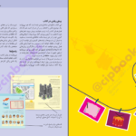دانلود کتاب پرورش حافظه و تقویت یادگیری دکتر پاسکال میشلان PDF