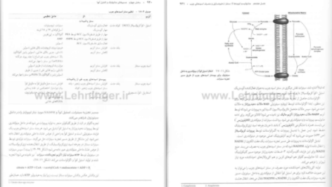 دانلود کتاب بیوشیمی دولین جلد ۲ رضا محمدی PDF
