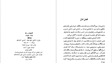دانلود کتاب دو منظره غزاله علیزاده PDF