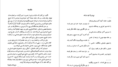 دانلود کتاب فرهنگ تلمیحات سیروس شمیسا PDF