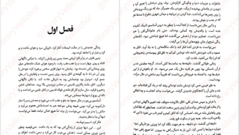 دانلود کتاب دونده‌ی هزارتو جیمز دشنر PDF