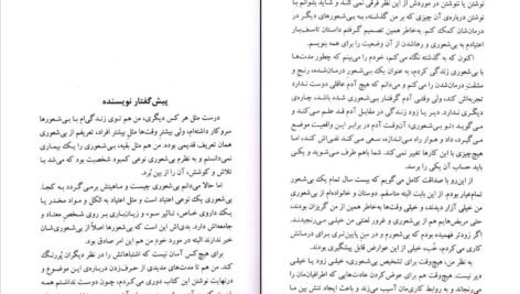 دانلود کتاب بی شعوری بس است دیگر جلد اول اسحاق احمدی PDF