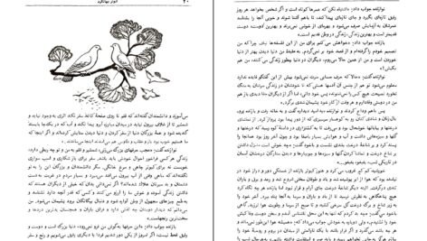 دانلود کتاب قصه های خوب برای بچه های خوب ۱ PDF