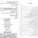 دانلود کتاب ۱۰۰ راز خانواده موفق دیوید نیون PDF