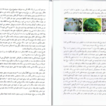 دانلود کتاب علائم دفینه نشانه های گنج علی ولایتی عسگری PDF