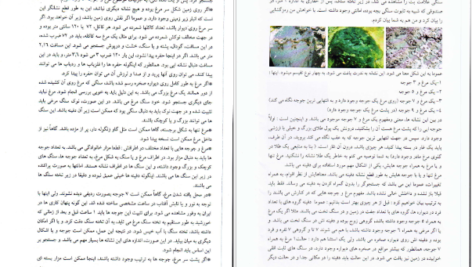 دانلود کتاب علائم دفینه نشانه های گنج علی ولایتی عسگری PDF