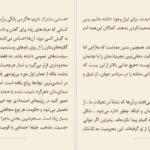 دانلود کتاب فرزانگی در عصر تفرقه الیف شافاک PDF