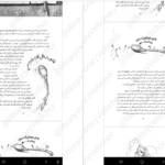 دانلود کتاب زمانه‌ی جادو ۲ کرسیدا کاوئل PDF