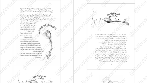 دانلود کتاب زمانه‌ی جادو ۲ کرسیدا کاوئل PDF