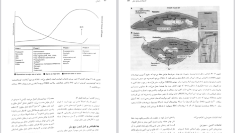 دانلود کتاب بارداری و زایمان ویلیامز جلد ۲ مهرناز ولدان PDF