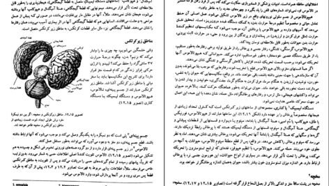 دانلود کتاب روان شناسی عمومی حمزه گنجی PDF