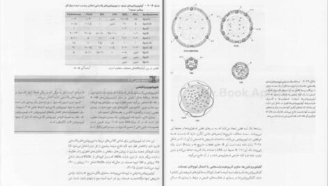 دانلود کتاب بیوشیمی دولین جلد ۱ رضا محمدی PDF