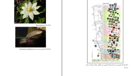 دانلود کتاب فیزیک و متافیزیک دکتر اسدی PDF