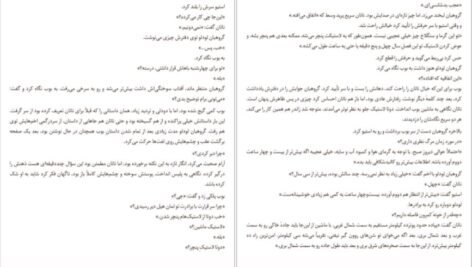 دانلود کتاب مرد گمشده جین هارپر PDF