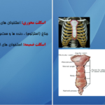 دانلود کتاب اناتومی استخوان شناسی مرتضی بهرامی نژاد PDF