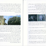 دانلود کتاب علائم دفینه نشانه های گنج علی ولایتی عسگری PDF