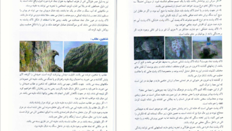دانلود کتاب علائم دفینه نشانه های گنج علی ولایتی عسگری PDF