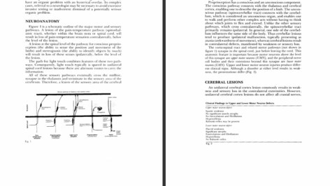 دانلود کتاب معاینه نورولوژیک استفن گلدبرگ PDF