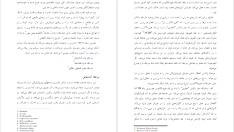 دانلود کتاب اصول و فنون مداخله روانشناختی در بحران خدابخش احمدی PDF