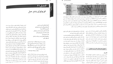 دانلود کتاب بارداری و زایمان ویلیامز جلد ۲ مهرناز ولدان PDF